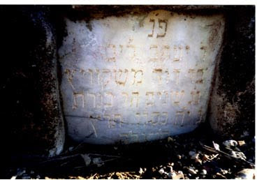 קברו של הטבעוני יעקב מוסקוביץ, בית הקברות של קבוצת כנרת
